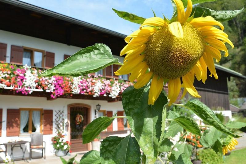 Haus Jagerer Hotel Ramsau bei Berchtesgaden ภายนอก รูปภาพ